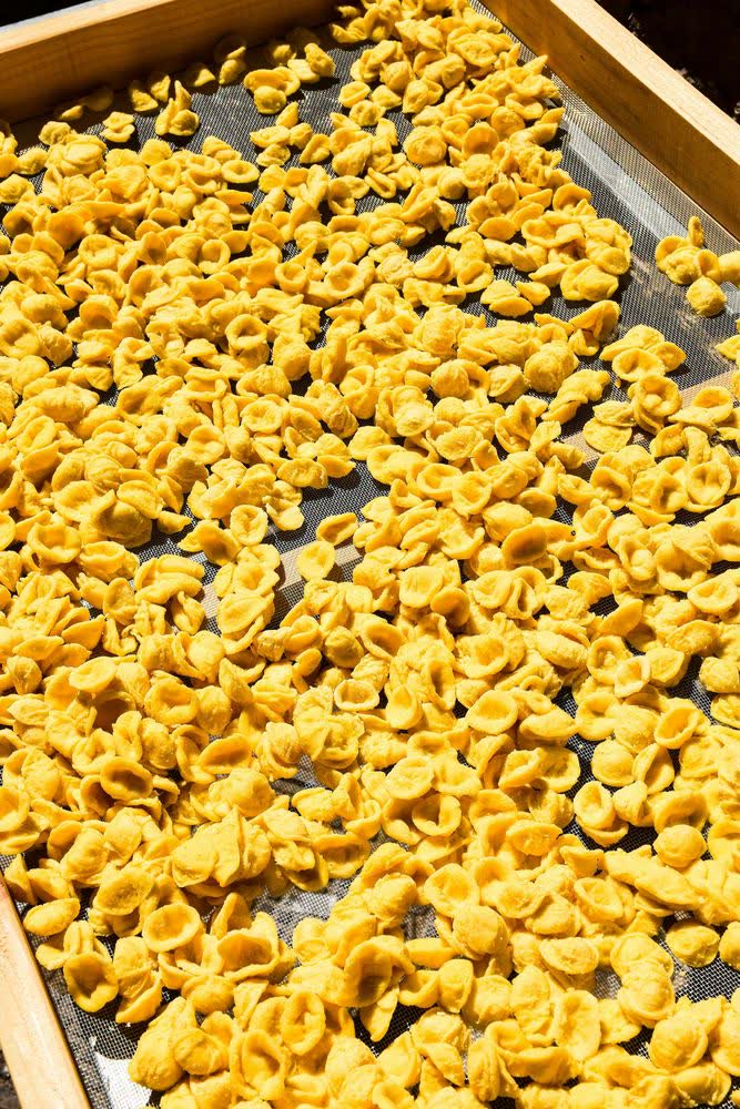 Orecchiette fatte a mano