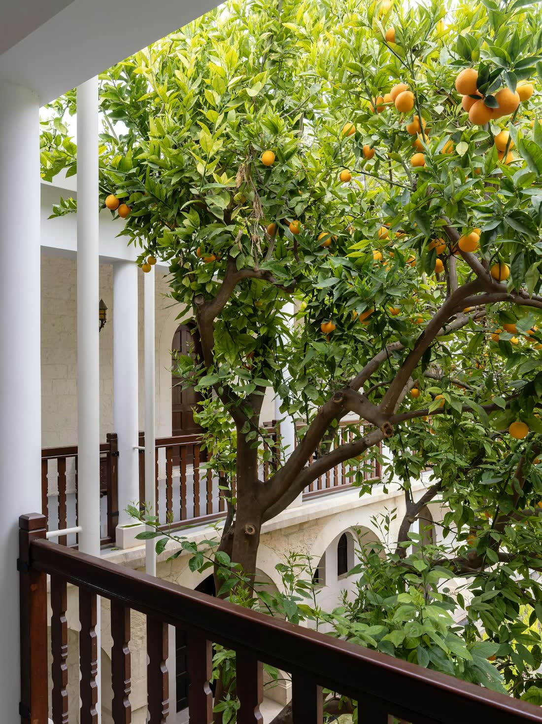 Villa Dune